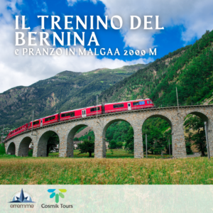 Il Viaggio che Incanta: Il Trenino del Bernina & Pranzo in Malga a 2000 m