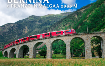 Il Viaggio che Incanta: Il Trenino del Bernina & Pranzo in Malga a 2000 m